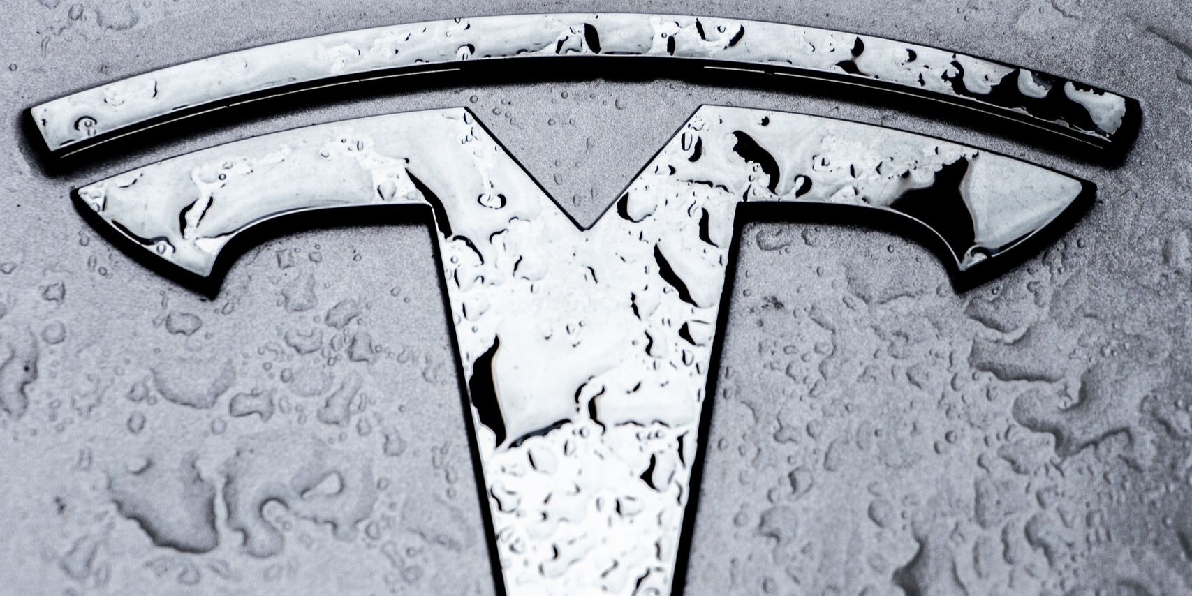 tesla logo freck